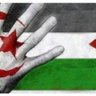 محمد الجزائري 73 🇩🇿's profile picture