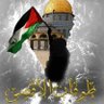 Miss Sara 🇵🇸❤️🇩🇿's profile picture
