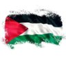عاطف خلف's profile picture