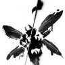 Zephyr Knight profil fotoğrafı
