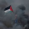 #freepalestine 🇵🇸🇲🇾 的头像