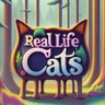 RealLifeCats😻 的头像