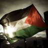 AHMED's profile picture