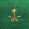 السهـل الممتنـع 🇸🇦⚔️'s profile picture