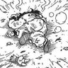 Profilbild von フィッテ