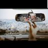 زيد الشرفيZaidAlsharafy's profile picture