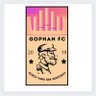 Gophan FC's profile picture