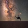 عامر الهيلات's profile picture