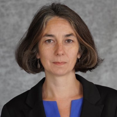 Audrey Truschke's profile picture