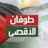 Profilbild von يحياالامل