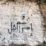 mohamad alaa's profile picture