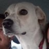 HVera's profile picture