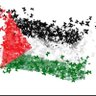 FREE PALESTINE🇵🇸🇱🇧 profil fotoğrafı