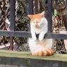Фото профиля Ògbéni Wálé