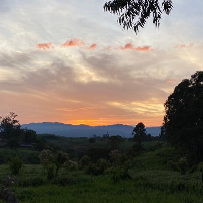 matedz08's profile picture