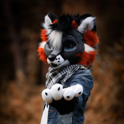 Jekyllfox's profile picture