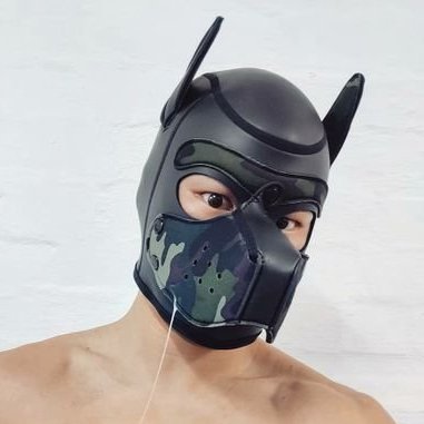 PupArco's profile picture