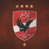 amr elsherbiny's profile picture