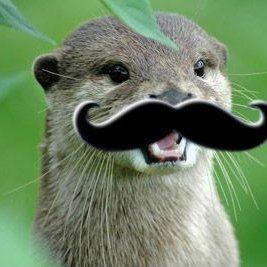 AussieOtter 🔜 SLC MAJOR's profile picture