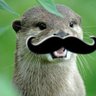 AussieOtter's profile picture