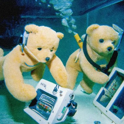 boos_island's profile picture