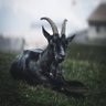 Фото профиля ꊼꊼꊼꊼ