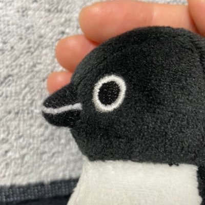 きんにくこ's profile picture