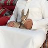 Фото профиля سلطان بن راشد
