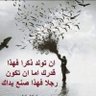 Фото профиля محمد
