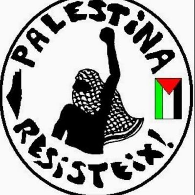 antoniollopism1's profile picture