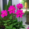 Фото профиля kumar7017