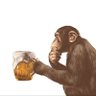 Drunken Monkey's profile picture