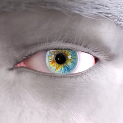 Wilfried Desvergne's profile picture