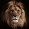 Profilbild von Prakash Shrivastav