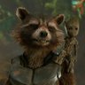 ROCKET's profile picture
