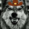 wolfie profil fotoğrafı