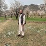 Mohammad Sharif Sharafat 的头像