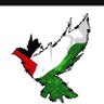 Jack Taylor's profile picture