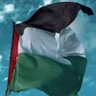 Hany Mostafa 1️⃣1️⃣🦅🇵🇸🐐🏆's profile picture