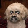 Baba Booie Jr. profil fotoğrafı