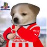 Фото профиля Erik 1️⃣2️⃣⭐🏆🇨🇵🐐