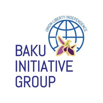 bakuinitiative's profile picture
