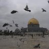 هذا الوقت سيمضي.🇵🇸🇪🇬 profil fotoğrafı