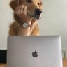Nick agemy profil fotoğrafı