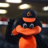 Фото профиля RockyMtnOrioles