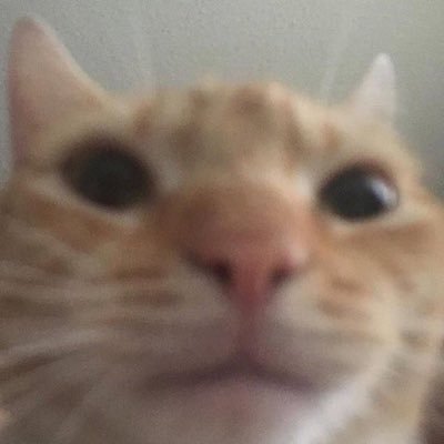 haaraapaan's profile picture