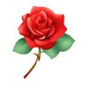 Rose 的头像