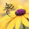 سبحان الله profil fotoğrafı