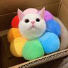 Funny Kittens's profile picture