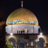 🤍💚SHAHinaz- AL- BARZanji🤍💚 profil fotoğrafı